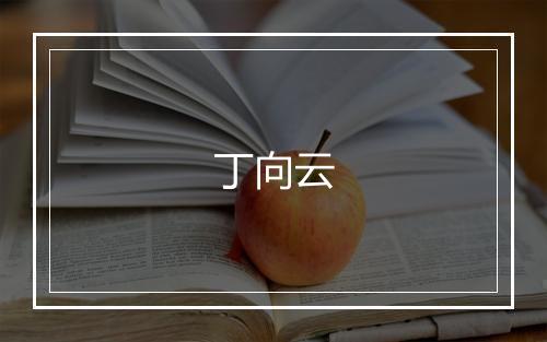 丁向云