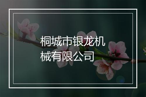 桐城市银龙机械有限公司