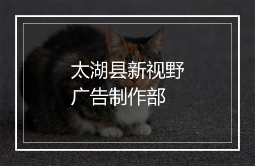 太湖县新视野广告制作部