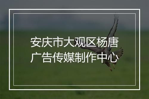 安庆市大观区杨唐广告传媒制作中心