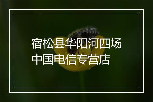 宿松县华阳河四场中国电信专营店