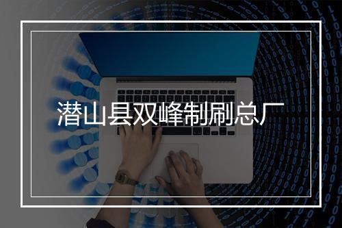 潜山县双峰制刷总厂