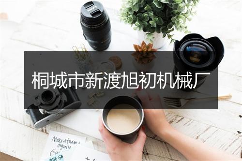 桐城市新渡旭初机械厂