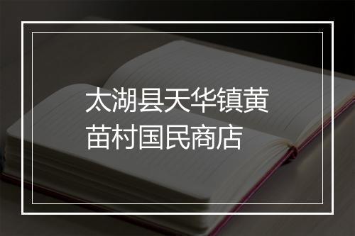 太湖县天华镇黄苗村国民商店