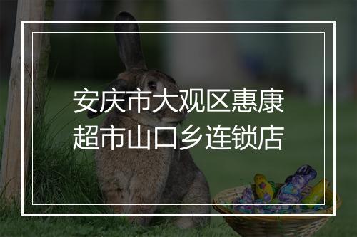 安庆市大观区惠康超市山口乡连锁店