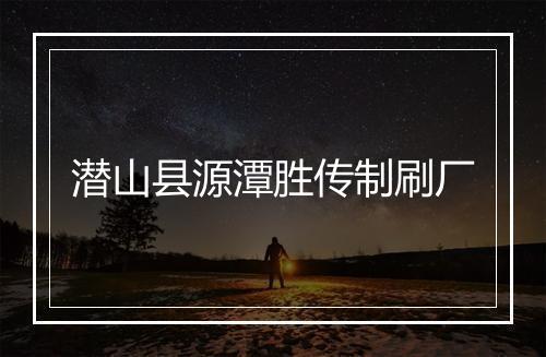 潜山县源潭胜传制刷厂