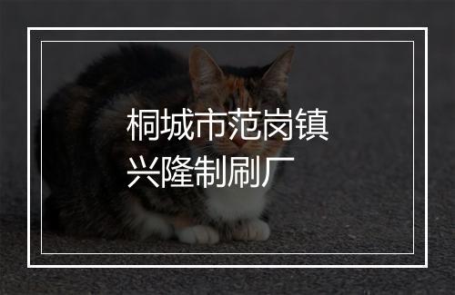 桐城市范岗镇兴隆制刷厂