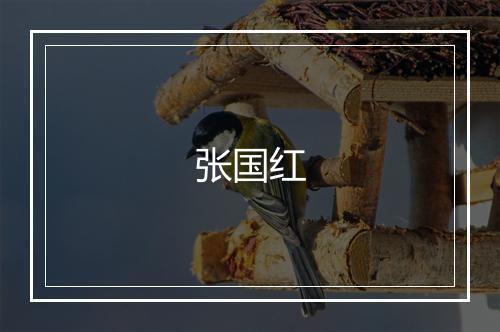 张国红