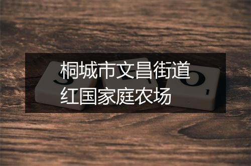 桐城市文昌街道红国家庭农场