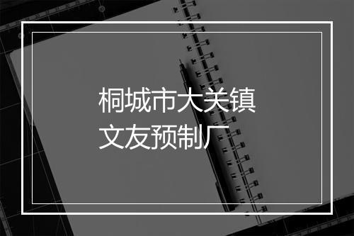 桐城市大关镇文友预制厂