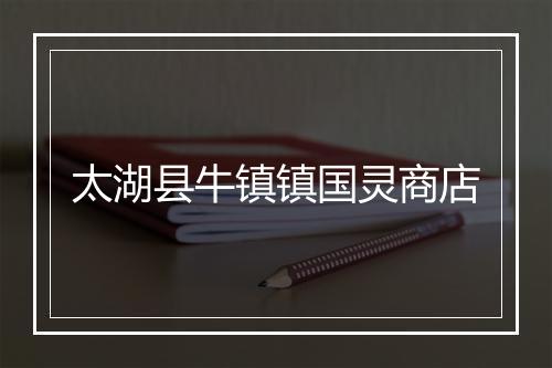 太湖县牛镇镇国灵商店