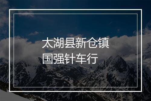 太湖县新仓镇国强针车行