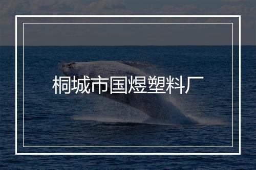 桐城市国煜塑料厂