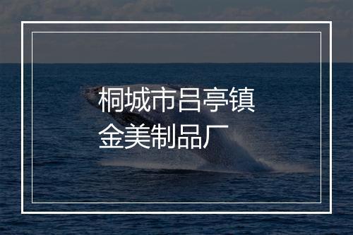 桐城市吕亭镇金美制品厂