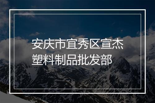 安庆市宜秀区宣杰塑料制品批发部