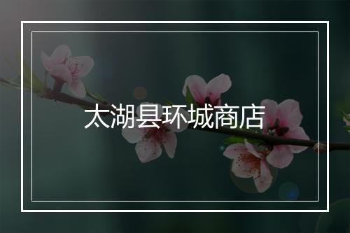 太湖县环城商店