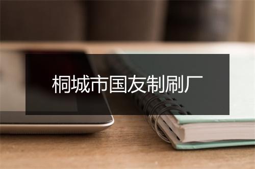 桐城市国友制刷厂