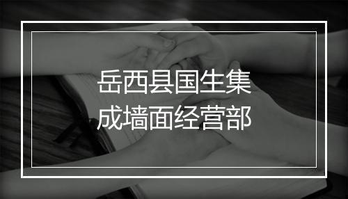 岳西县国生集成墙面经营部
