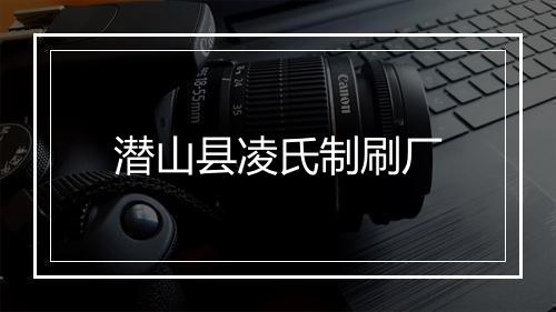 潜山县凌氏制刷厂