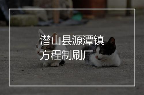 潜山县源潭镇方程制刷厂