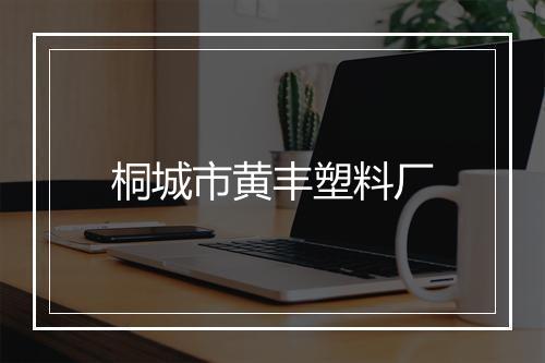 桐城市黄丰塑料厂