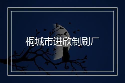 桐城市进欣制刷厂