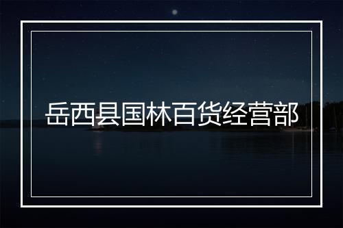 岳西县国林百货经营部