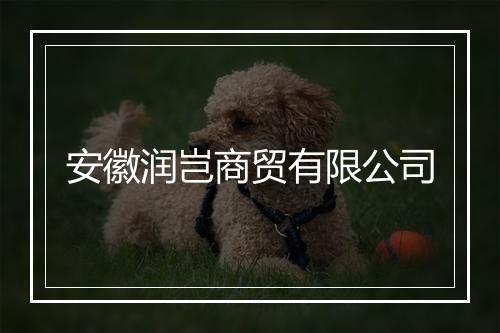 安徽润岂商贸有限公司