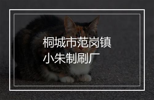 桐城市范岗镇小朱制刷厂