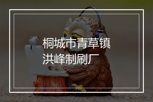 桐城市青草镇洪峰制刷厂