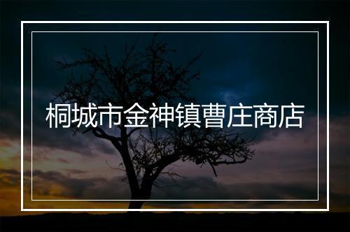 桐城市金神镇曹庄商店