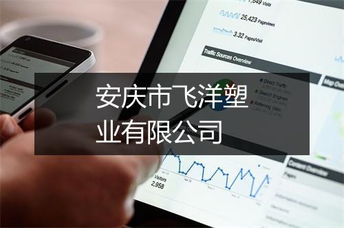 安庆市飞洋塑业有限公司