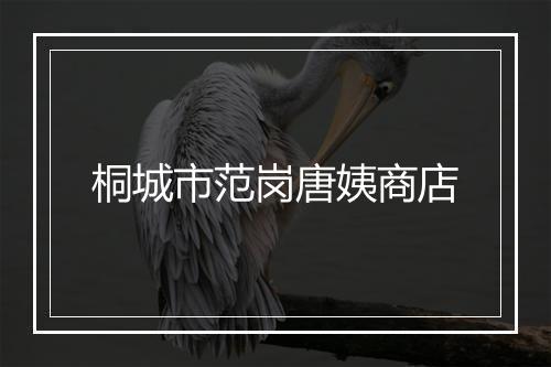 桐城市范岗唐姨商店