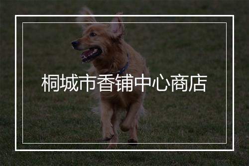 桐城市香铺中心商店