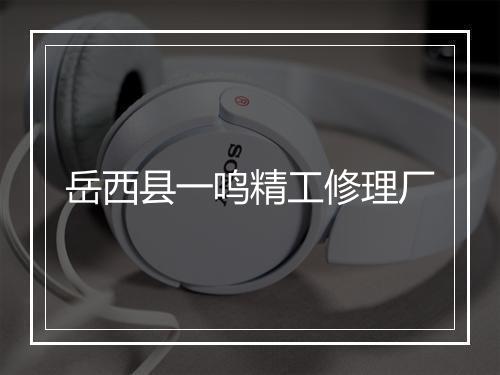 岳西县一鸣精工修理厂