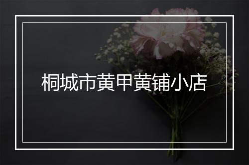 桐城市黄甲黄铺小店