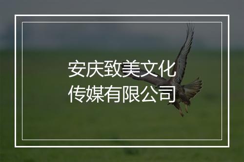 安庆致美文化传媒有限公司