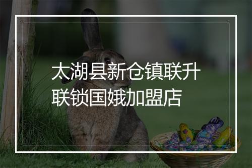 太湖县新仓镇联升联锁国娥加盟店