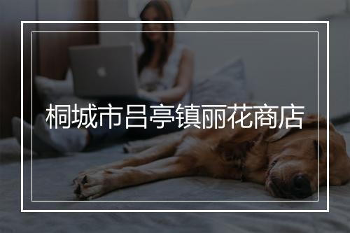 桐城市吕亭镇丽花商店