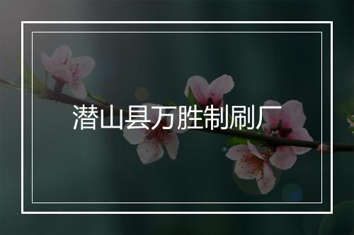 潜山县万胜制刷厂