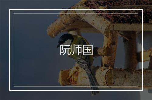 阮师国