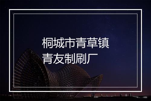 桐城市青草镇青友制刷厂