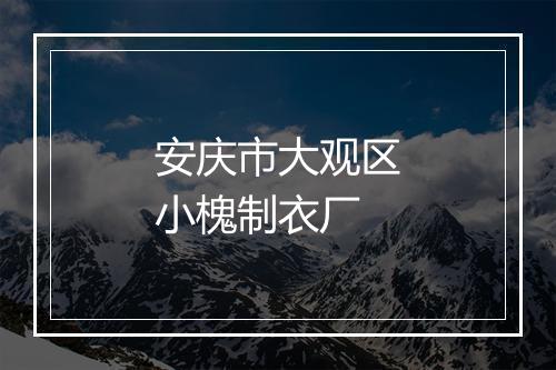 安庆市大观区小槐制衣厂
