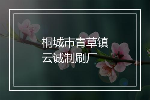 桐城市青草镇云诚制刷厂