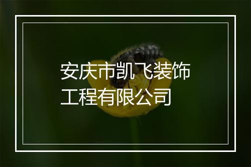 安庆市凯飞装饰工程有限公司