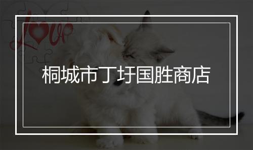 桐城市丁圩国胜商店