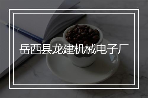岳西县龙建机械电子厂