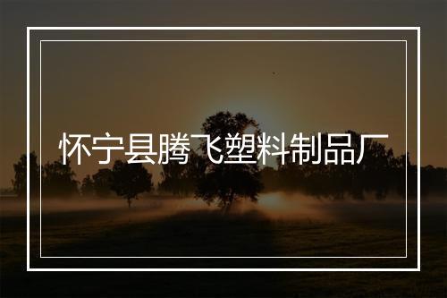 怀宁县腾飞塑料制品厂