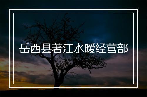 岳西县著江水暧经营部