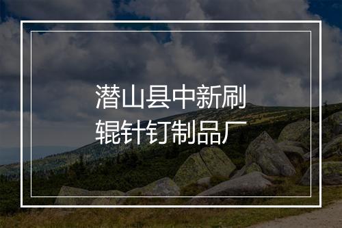 潜山县中新刷辊针钉制品厂